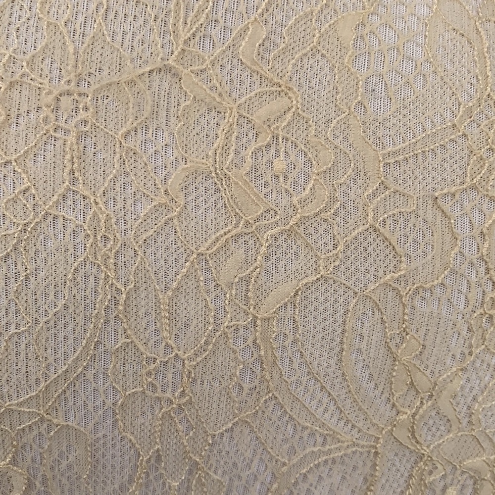 Free People Sheer Lace Top Boho Cream Size XS - Picture 7 of 11